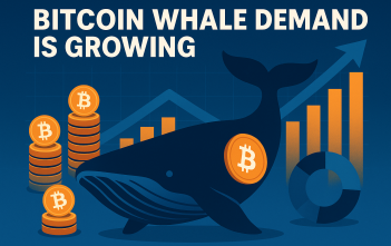 Bitcoin whale demand is growing across major wallets