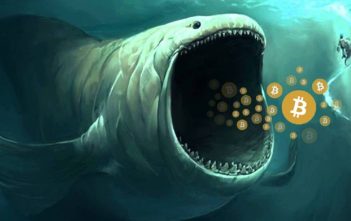 Whale representing large BTC holder during flat crypto market
