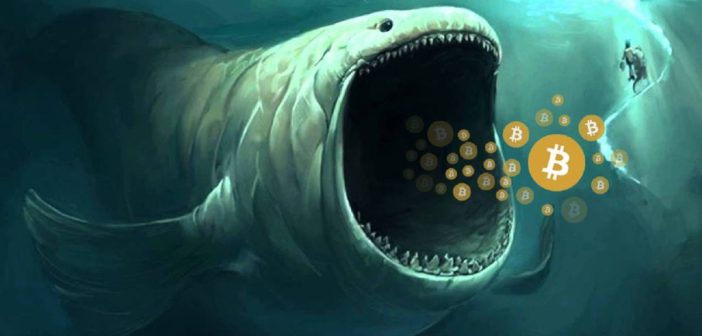 Whale representing large BTC holder during flat crypto market