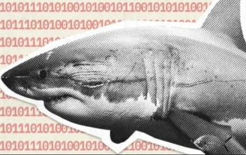 Crypto investor loses $2.5 million in Tether due to phishing scam