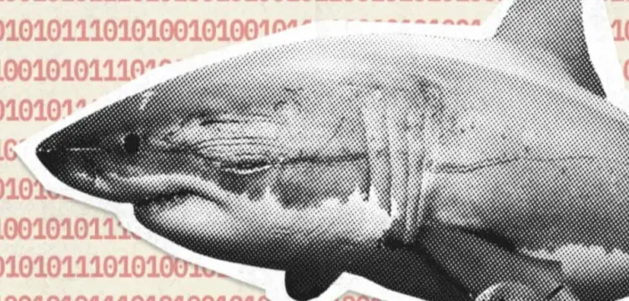 Crypto investor loses $2.5 million in Tether due to phishing scam