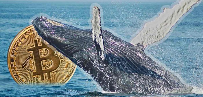 Crypto whale opening $425M leveraged Bitcoin position