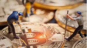 Bitcoin solo miner dashboard showing 3.15 BTC reward